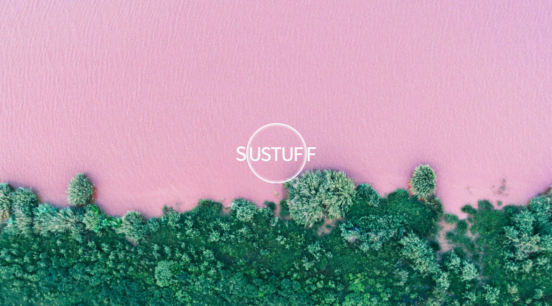 Most sustainable toothbrush - Sustuff logo on pink lake